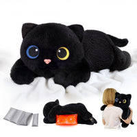 Black Cat