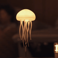 Jellyfish